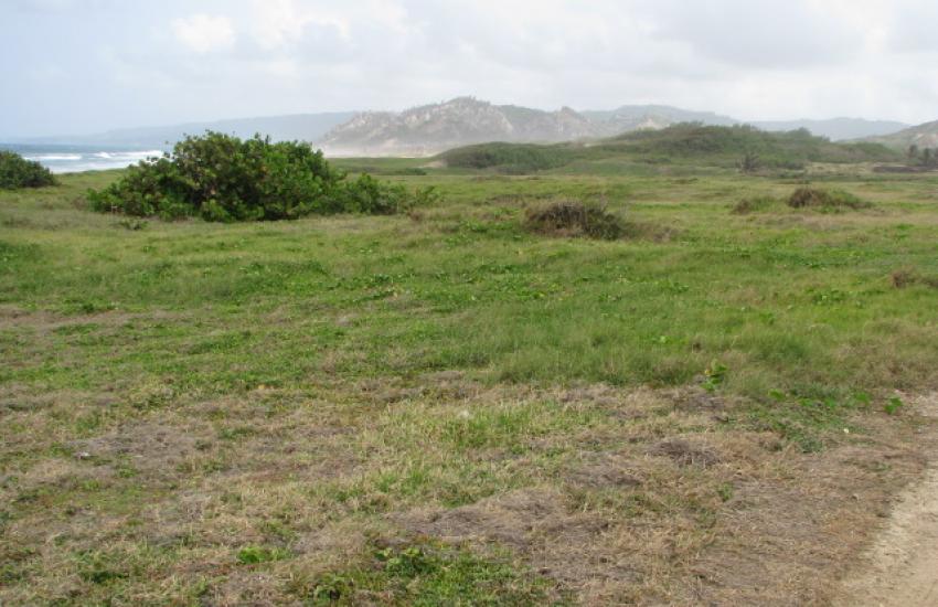 Walkers, St. Andrew Barbados H.V.REALTY SERVICE